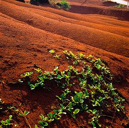 《夏日重现》角色“凸村哲”介绍PV 明年1月26日发售